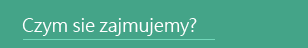 Czym się zajmujemy? Czym się zajmujemy?
